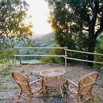 La Lupa E L'orso 3*