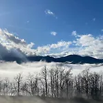 La Lupa E L'orso Berceto