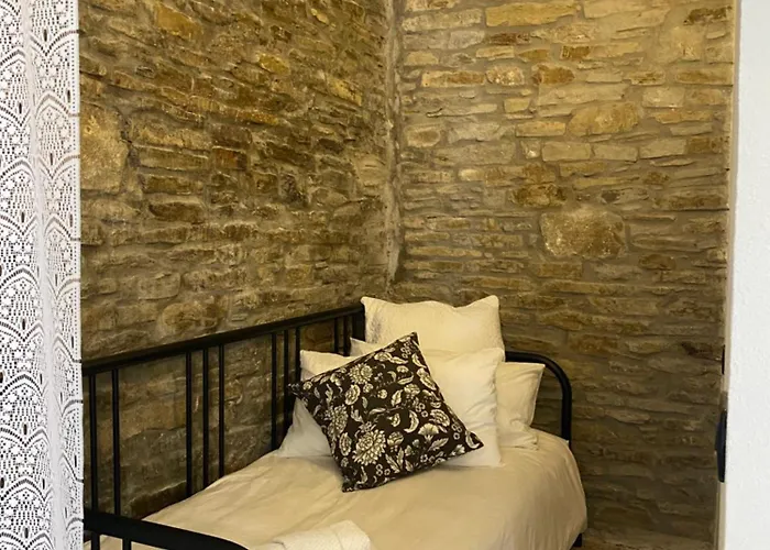 La Lupa E L'orso Berceto