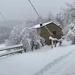 La Lupa E L'orso