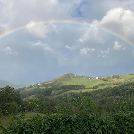 La Lupa E L'orso * Berceto