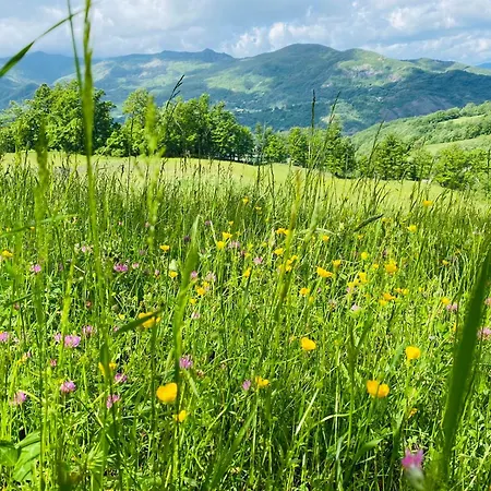 La Lupa E L'orso Panzió Berceto