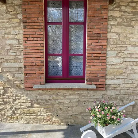 La Lupa E L'orso