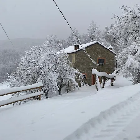 La Lupa E L'orso
