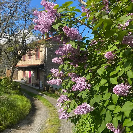 Bed & Breakfast La Lupa E L'orso Berceto