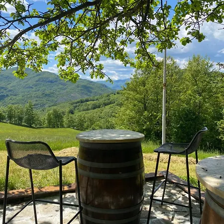 La Lupa E L'orso Berceto