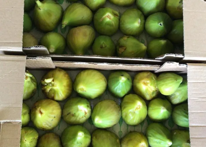 La Lupa E L'orso Oda ve Kahvaltı