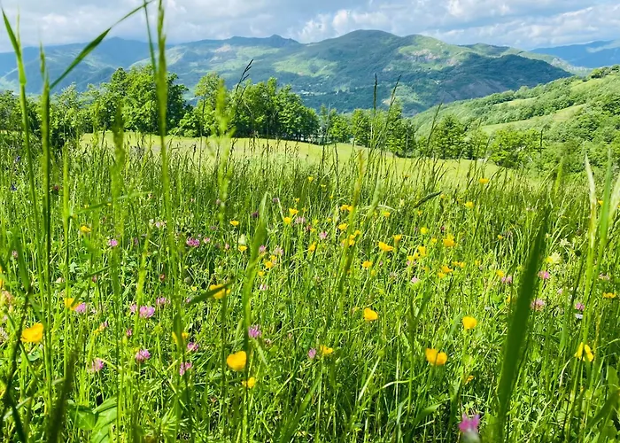 La Lupa E L'orso Panzió Berceto