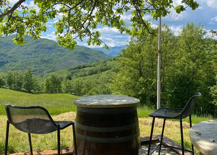 La Lupa E L'orso Berceto